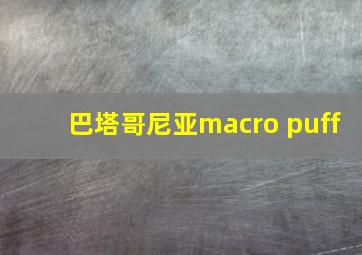 巴塔哥尼亚macro puff